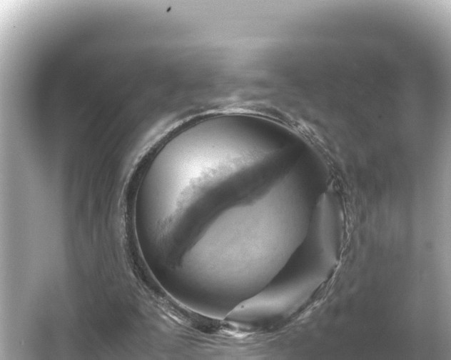 X0000066020295200603101630