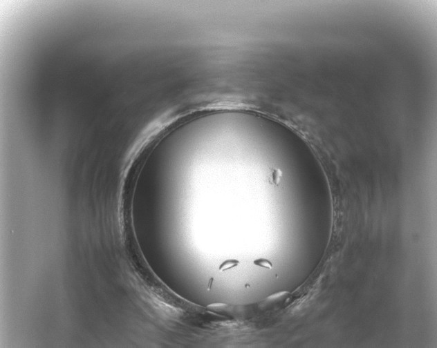 X0000066020296200603101630