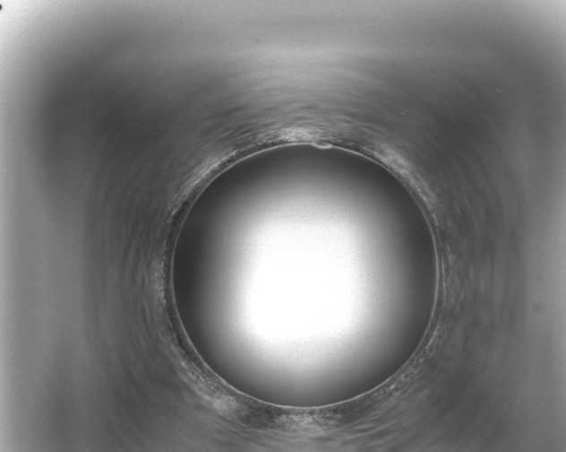 X0000066020297200603101630