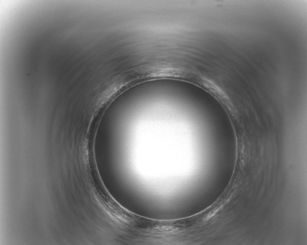 X0000066020298200603101630