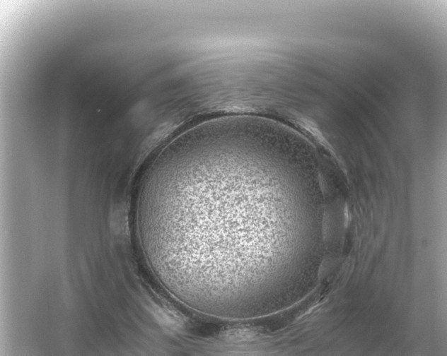 X0000066020299200603101630