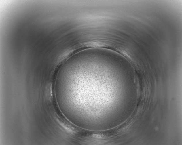 X0000066020302200603101630