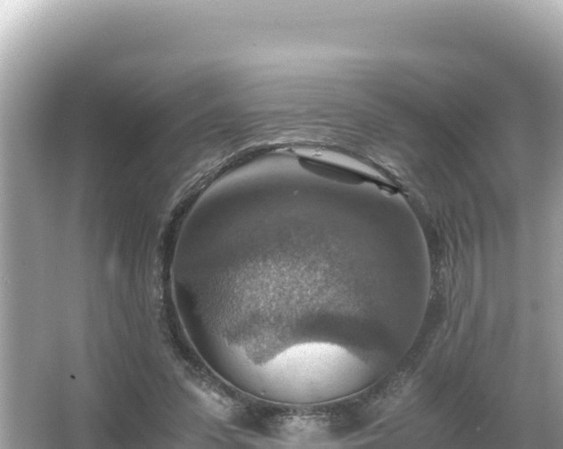 X0000066020303200603101630