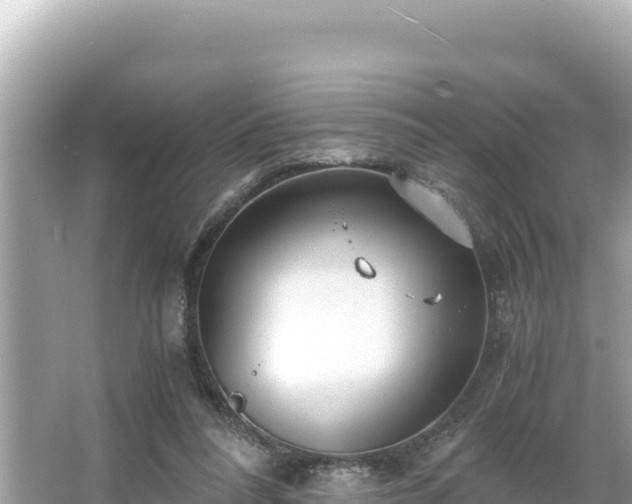 X0000066020304200603101630