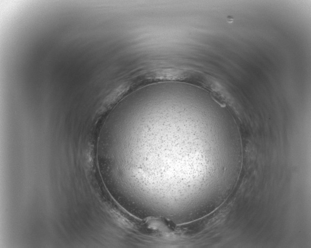 X0000066020305200603101630