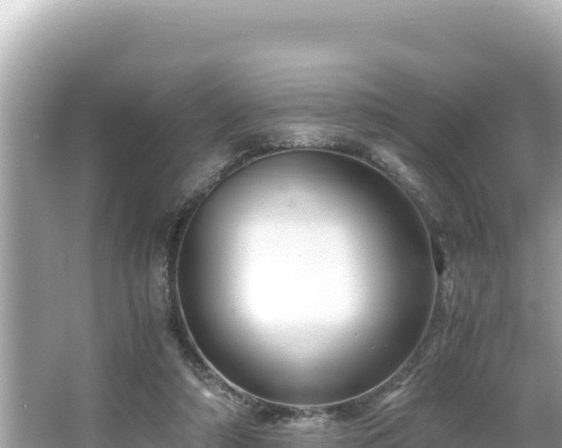 X0000066020306200603101630