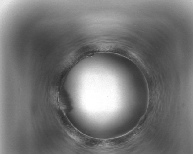 X0000066020307200603101629