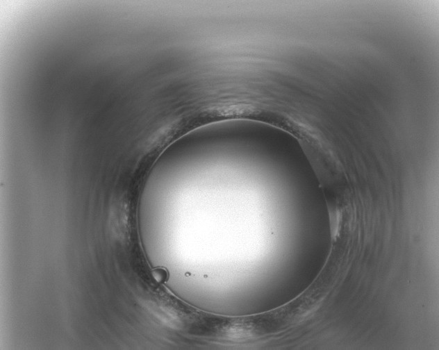 X0000066020308200603101629