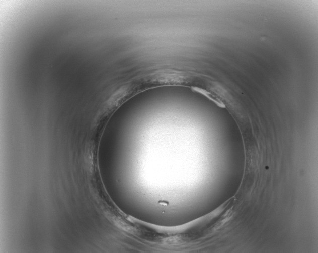 X0000066020309200603101629