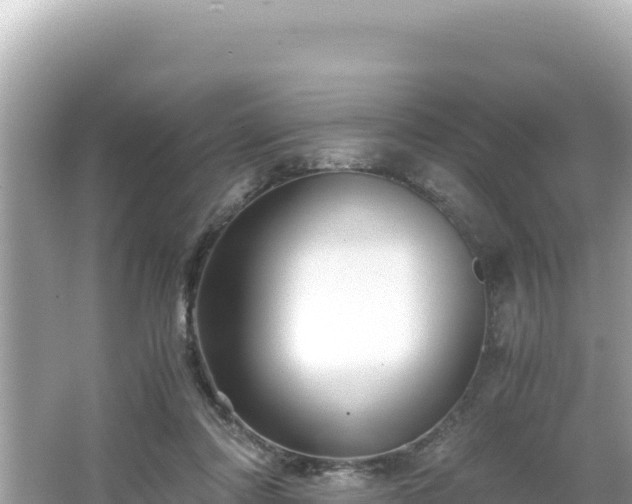 X0000066020310200603101629