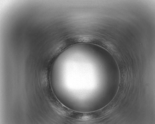 X0000066020312200603101629