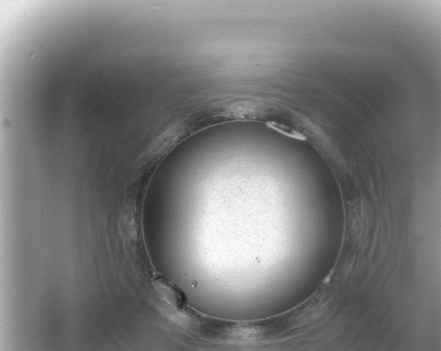 X0000066020313200603101629