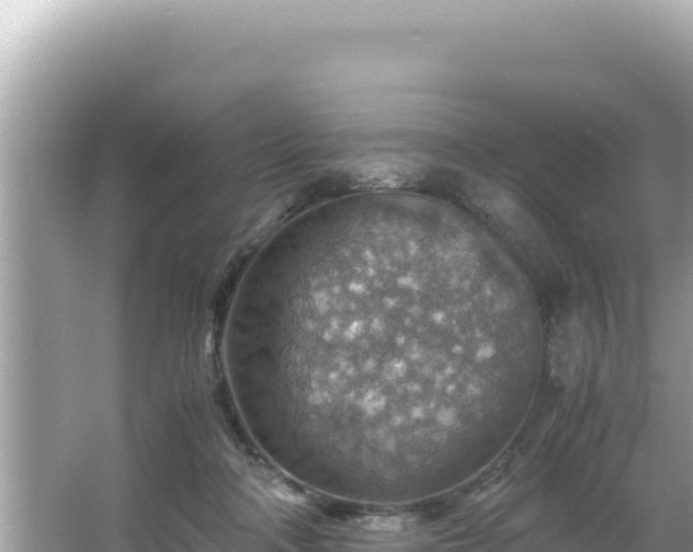 X0000066020314200603101629