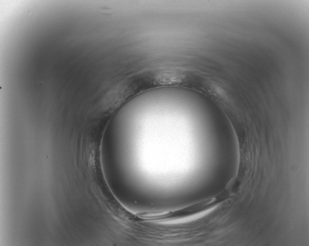 X0000066020315200603101629