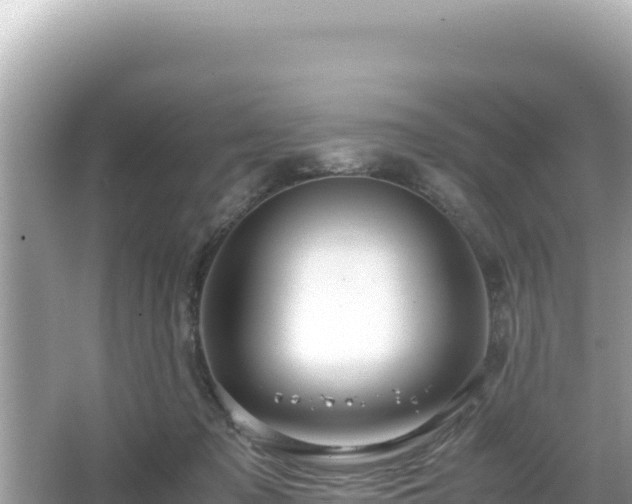 X0000066020317200603101629