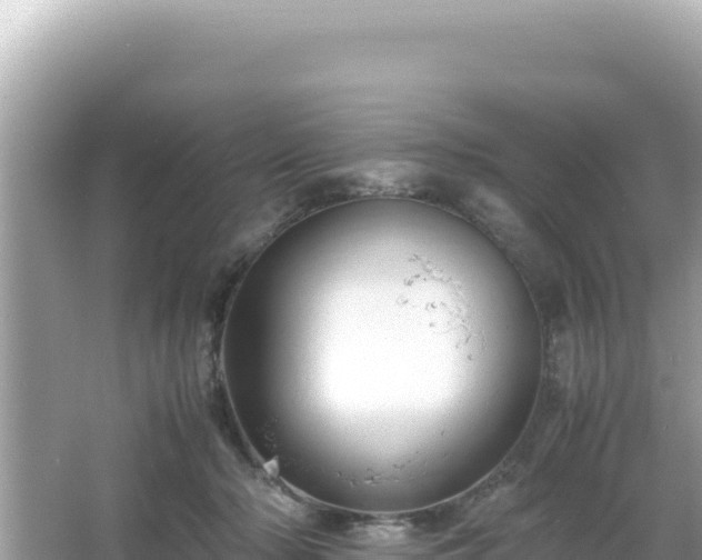 X0000066020318200603101629