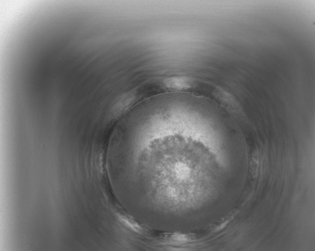 X0000066020330200603101629