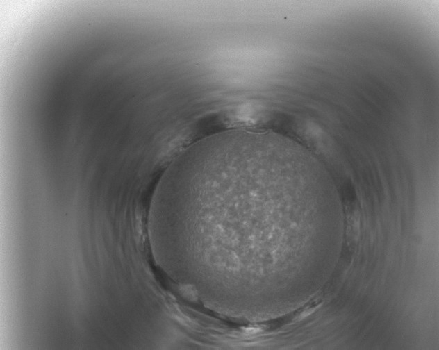 X0000066020331200603101629