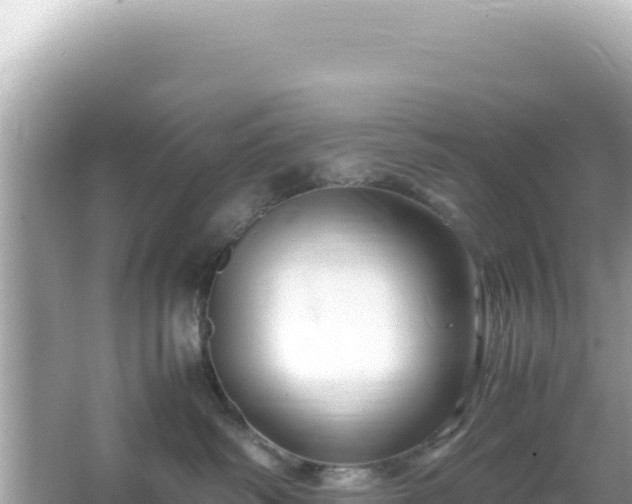 X0000066020334200603101629