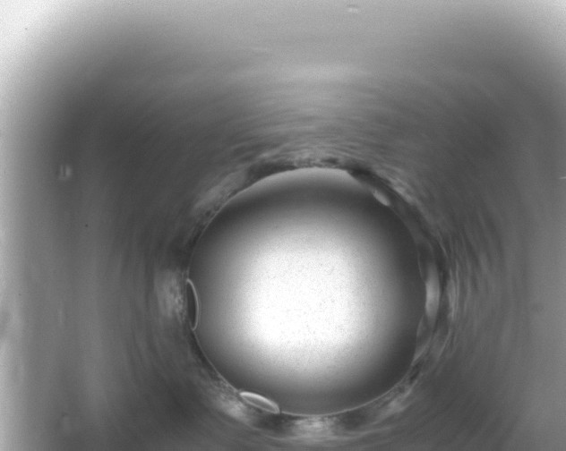 X0000066020335200603101629