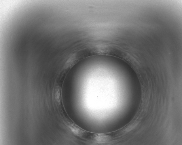 X0000066020336200603101629