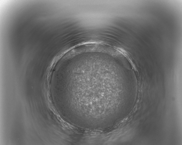 X0000066020337200603101628