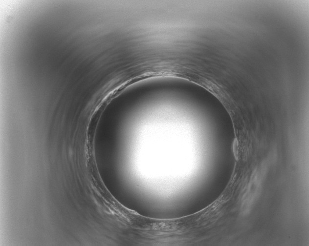 X0000066020338200603101628