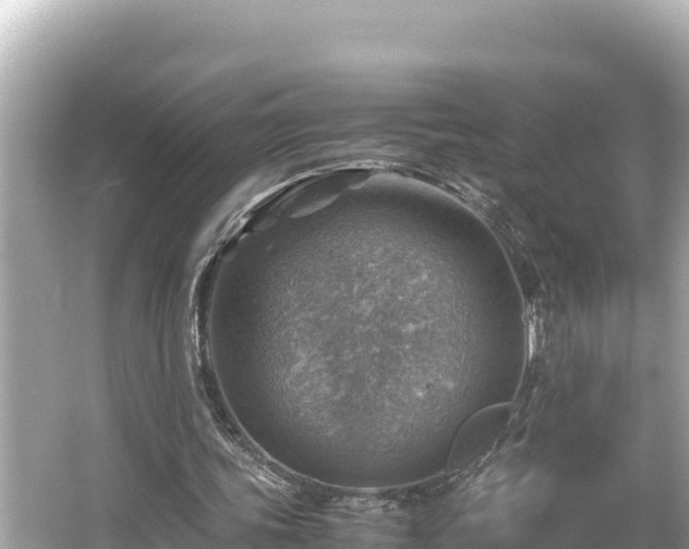 X0000066020339200603101628