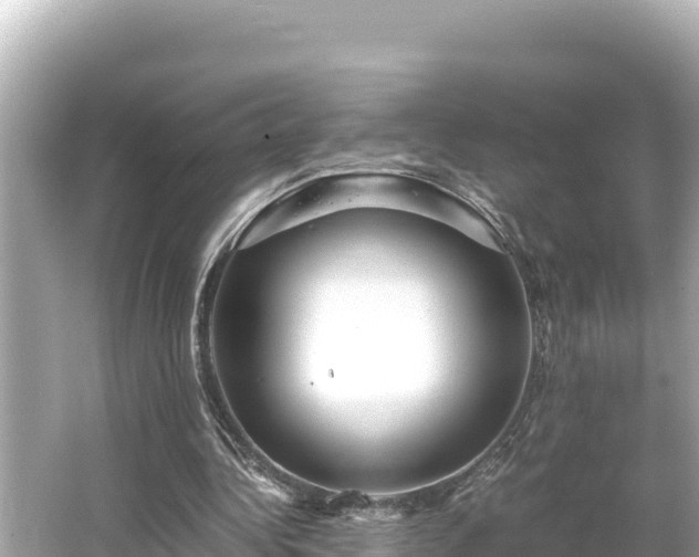 X0000066020340200603101628