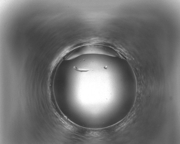 X0000066020341200603101628