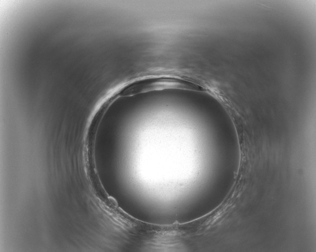 X0000066020342200603101628