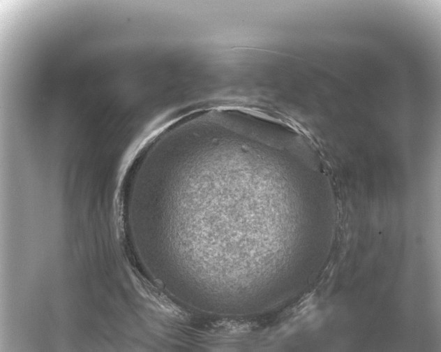 X0000066020343200603101628