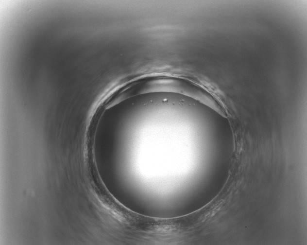 X0000066020344200603101628