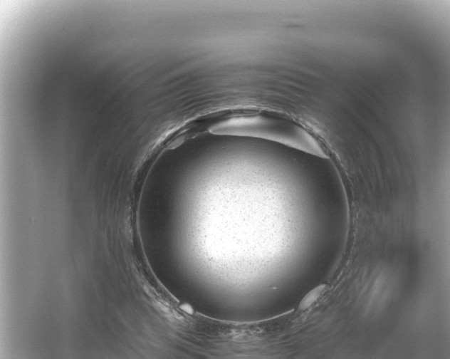 X0000066020345200603101628