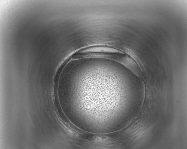 X0000066020346200603101628