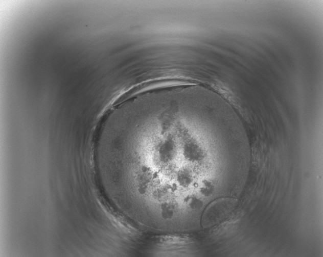 X0000066020347200603101628