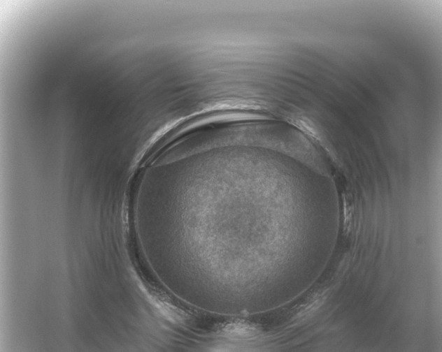 X0000066020348200603101628