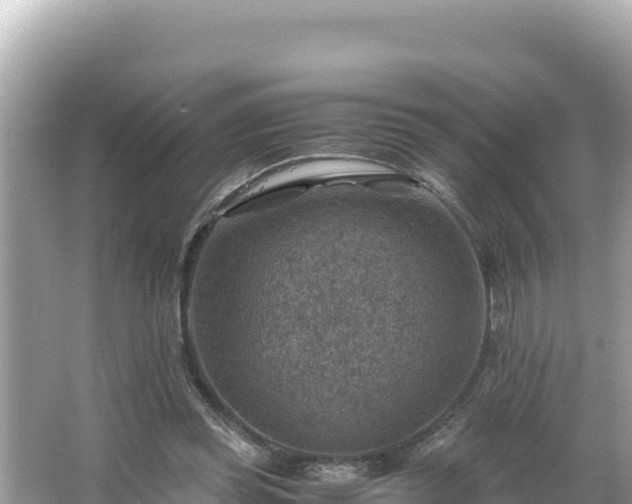 X0000066020349200603101628