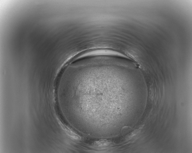 X0000066020351200603101628