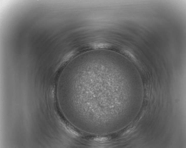 X0000066020357200603101629