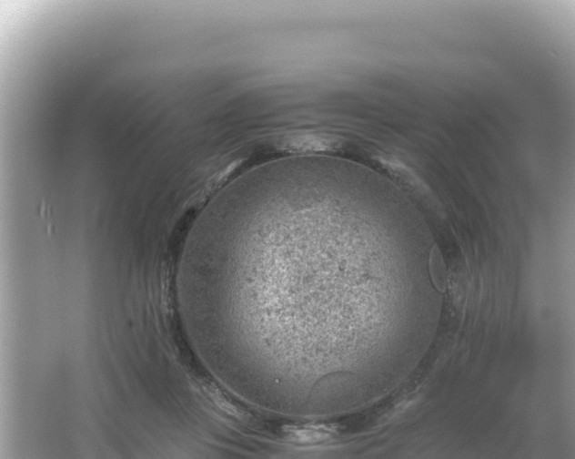 X0000066020359200603101629