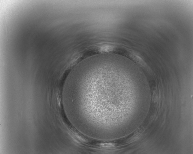 X0000066020363200603101629