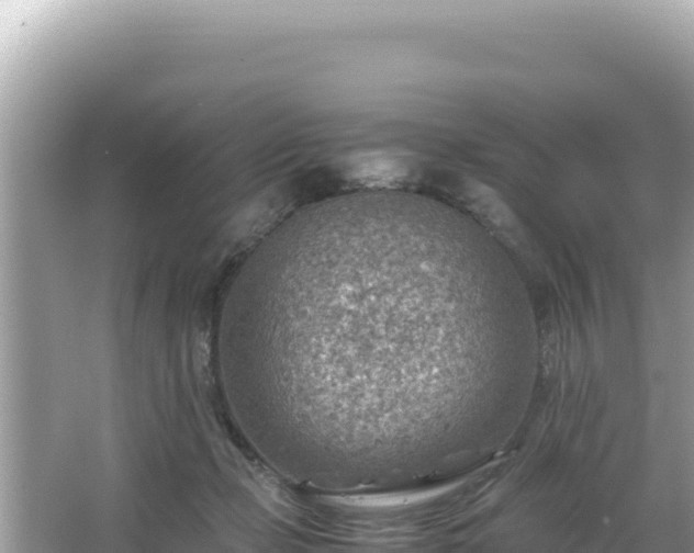 X0000066020365200603101629