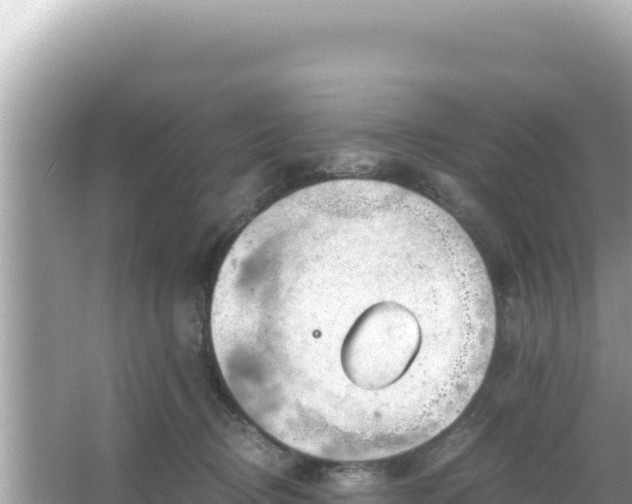 X0000066020370200603101629