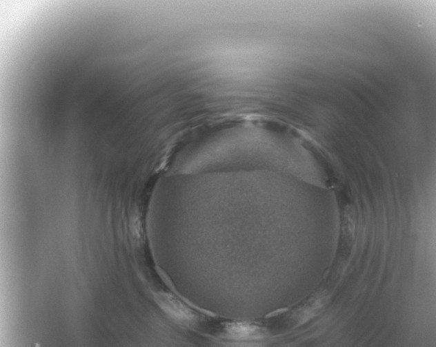 X0000066020380200603101629