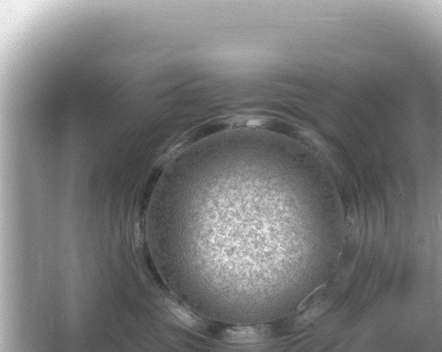 X0000066020381200603101629