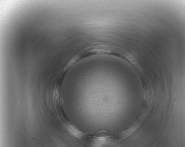 X0000066020382200603101629