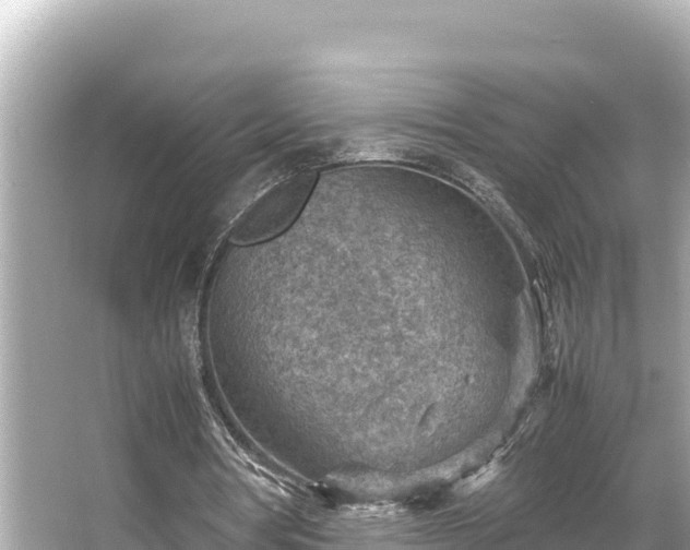 X0000066020386200603101628