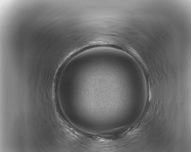 X0000066020387200603101628