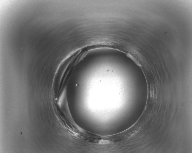 X0000066020388200603101628